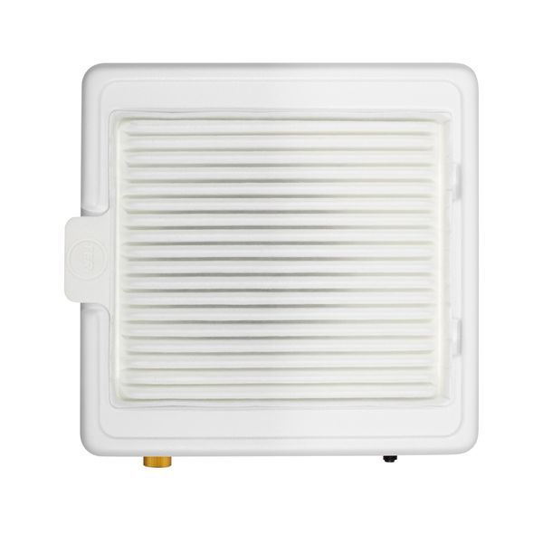 Вытяжка для маникюра с HEPA фильтром Teri 800 M 2021 White/Gold 100 Вт 000129924 фото